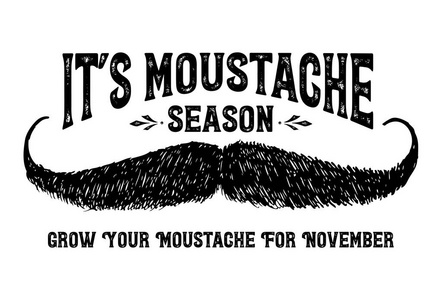 Movember，男性的健康的意识问题。矢量