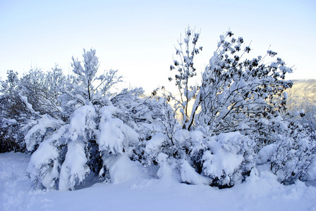 雪，雪花 积雪 雪季