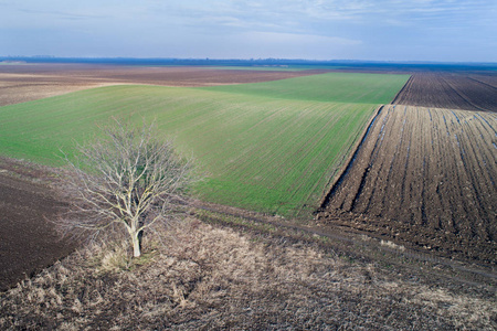 农业领域的空中影像