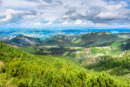 高山上的青山, 风景, 喀尔巴阡山山谷的美景, 波兰照片