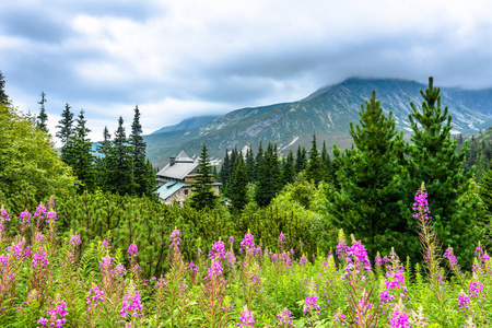 在山林中的房子, 山和花的山水, 全景 vista