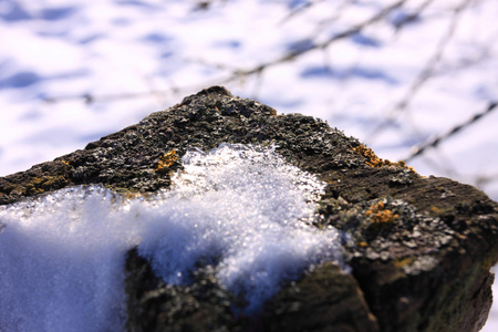 在阳光和冬雪下的运动