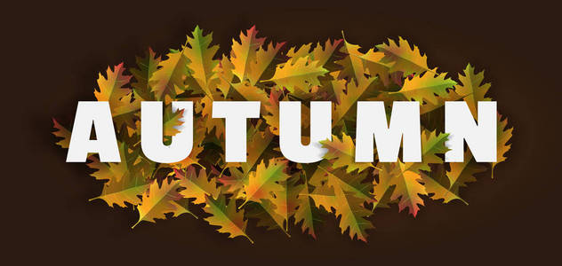 秋季背景布置用树叶作横幅 leafle