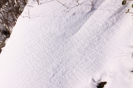 在阳光和冬雪下的运动