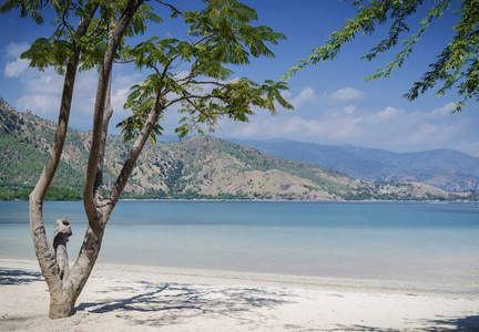 黑布兰卡热带海滩景观在东帝汶附近的帝力