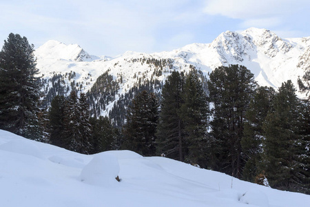 山全景，洛尔阿尔卑斯山，奥地利冬季的雪，树和蓝天