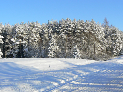 冬季木材