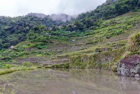 墟 Batad 米梯田风景秀丽