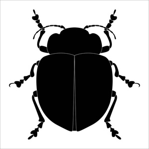 昆虫剪影。在白色背景上隔离的 bug 的草图。矢量插图
