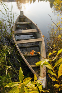 老木小船在湖锁定。上午现场