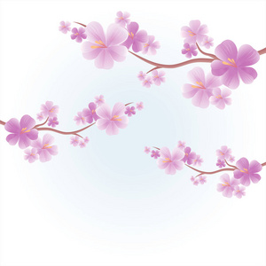 苹果树花。枝樱花与紫色的花朵隔离在浅蓝色背景。樱花树枝。矢量 Eps 10 cmyk