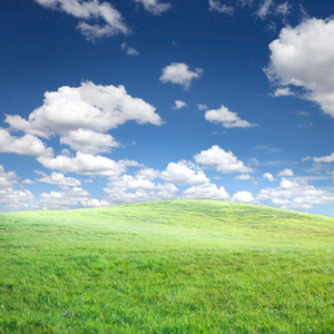 绿草和蓝蓝的天空云