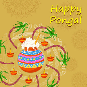 Pongal 宗教传统节日泰米尔纳德邦印度庆祝背景