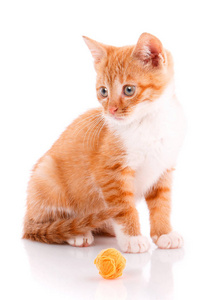 可爱的橙色小猫与白色爪子坐在旁边的玩具照片