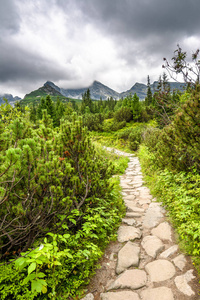 大自然中的登山小径, 荒野中的道路, 绿色的山脉