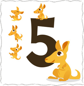 袋鼠的动物儿童动物数量: 5 袋鼠照片