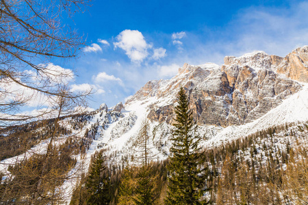 美丽的高山在阿尔卑斯, 意大利在冬天