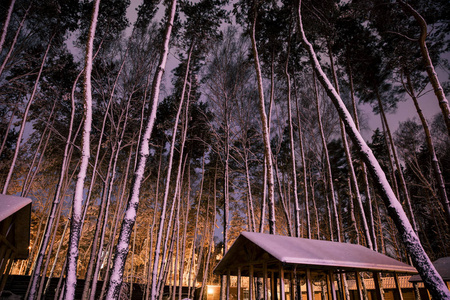 夜间雪林木屋图片