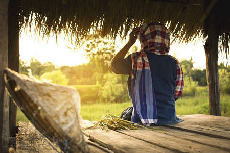 老妇人农夫坐在小屋在米领域, 选择和软的焦点