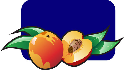 一个桃子的插图