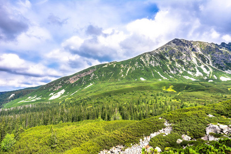 山坡的图片大全 风景图片