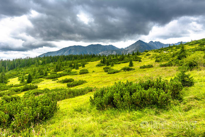 绿色的山丘和天空的景观草甸在春天在山喀尔巴阡山t