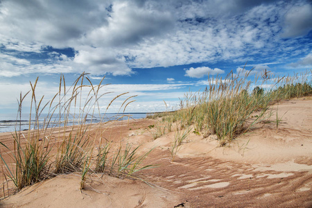 俄罗斯阿拉多加湖海岸的沙丘