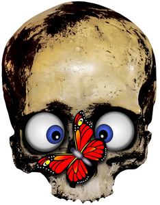 鬼蝴蝶头骨与蝴蝶照片