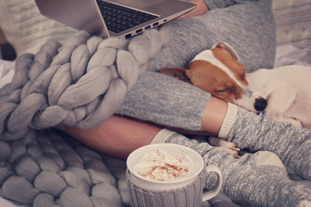 温馨的家, 温暖的毯子, 热的饮料, 电影之夜。狗睡在女性的脚。放松, 无忧无虑, 舒适的生活方式