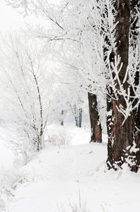 雪山 公路