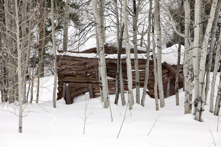 鬼小木屋在雪中