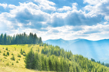 草原上的蓝天白云森林在绿色的山丘上, 蓝天白云密布.自然风景照片