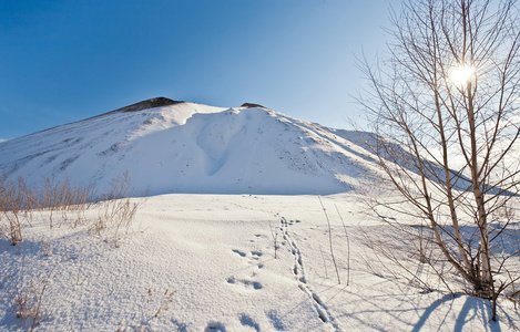 slagheap 冬季雪中