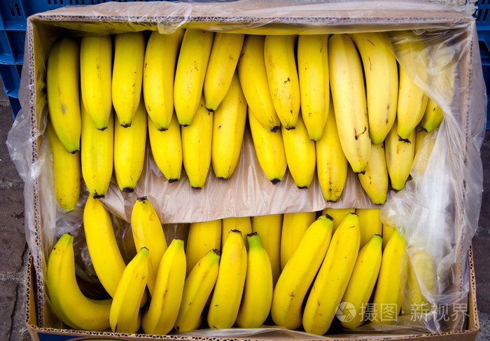 茎的香蕉在框中