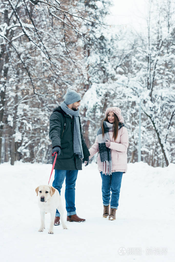 年轻的夫妇与狗在冬季雪公园散步