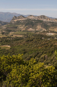 科西嘉 高级科西嘉 上科西嘉 的景观全景, 群山环抱, 青山, 葡萄园和麦田