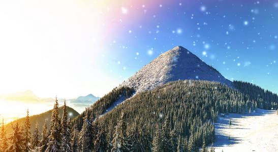 美丽的冬天全景与新鲜的落雪。景观机智