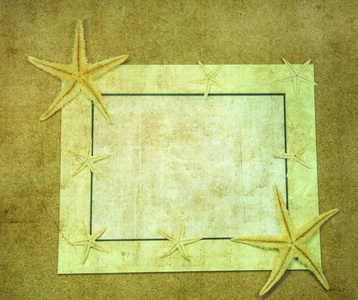 starfishes 海架