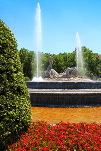 马德里 neptuno 大道喷泉在 paseo de la 拉纳