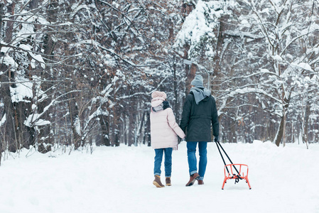 在雪地公园散步的情侣与雪橇牵手的背面视图照片