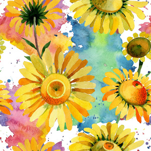 水彩风格的野花黄色菊花花图案