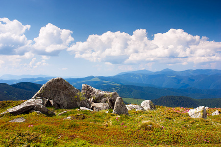 在山的夏天风景