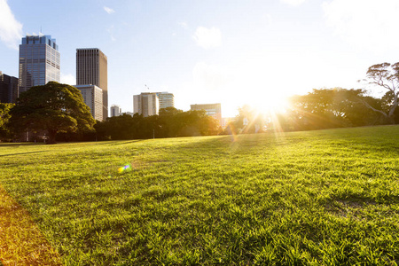 上海城市景观的从片美丽的草地,在阳光明媚的蓝天下照片