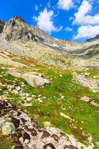 斯洛伐克5湖流域 Tatra 山脉的夏季景观