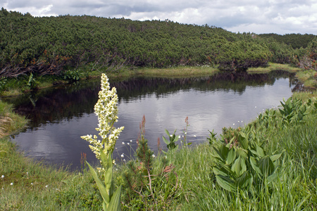 山池