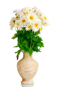 束美丽的花瓶被隔绝在白色的雏菊
