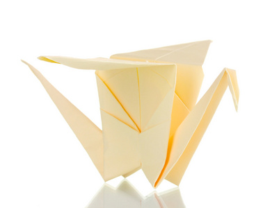 上白色隔离的折纸纸鹤
