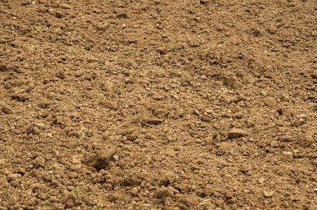 肥沃的褐色犁耕土, 用于种植特写作为自然背景照片