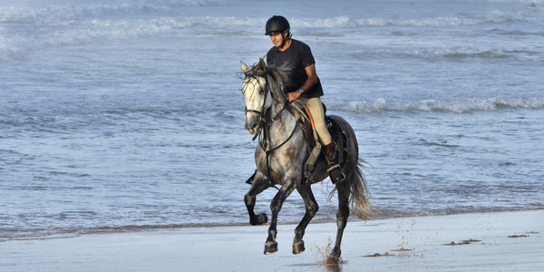 舞动沿着海滩马背上的骑手