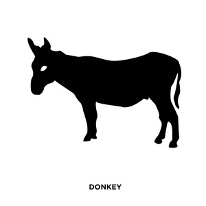 驴子剪影在白色背景, 在黑色